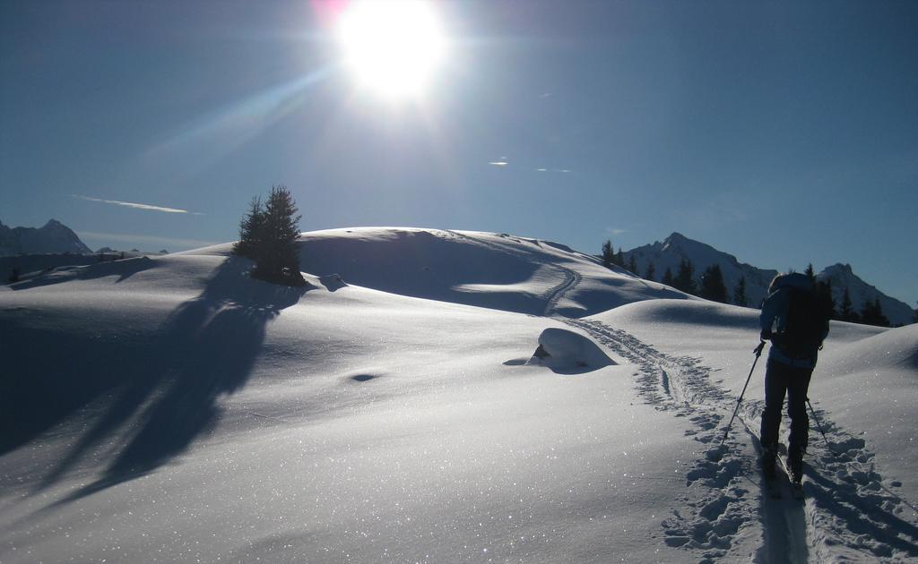 Pension Steiermark Schladming Exterior foto